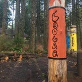 Review photo of Silver Falls State Park Campground by Kelly N., July 17, 2018