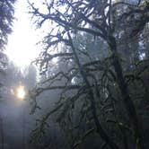 Review photo of Silver Falls State Park Campground by Kelly N., July 17, 2018