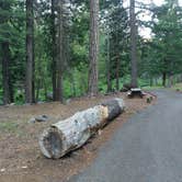 Review photo of Elam Campground by Jeff H., June 30, 2022