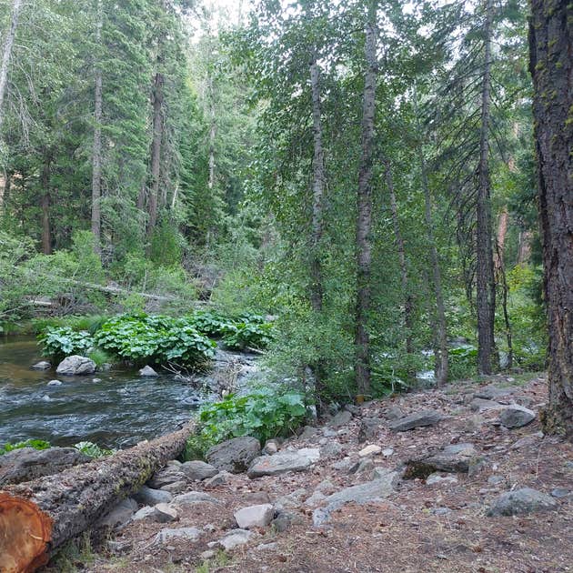 Elam Campground | Mill Creek, CA