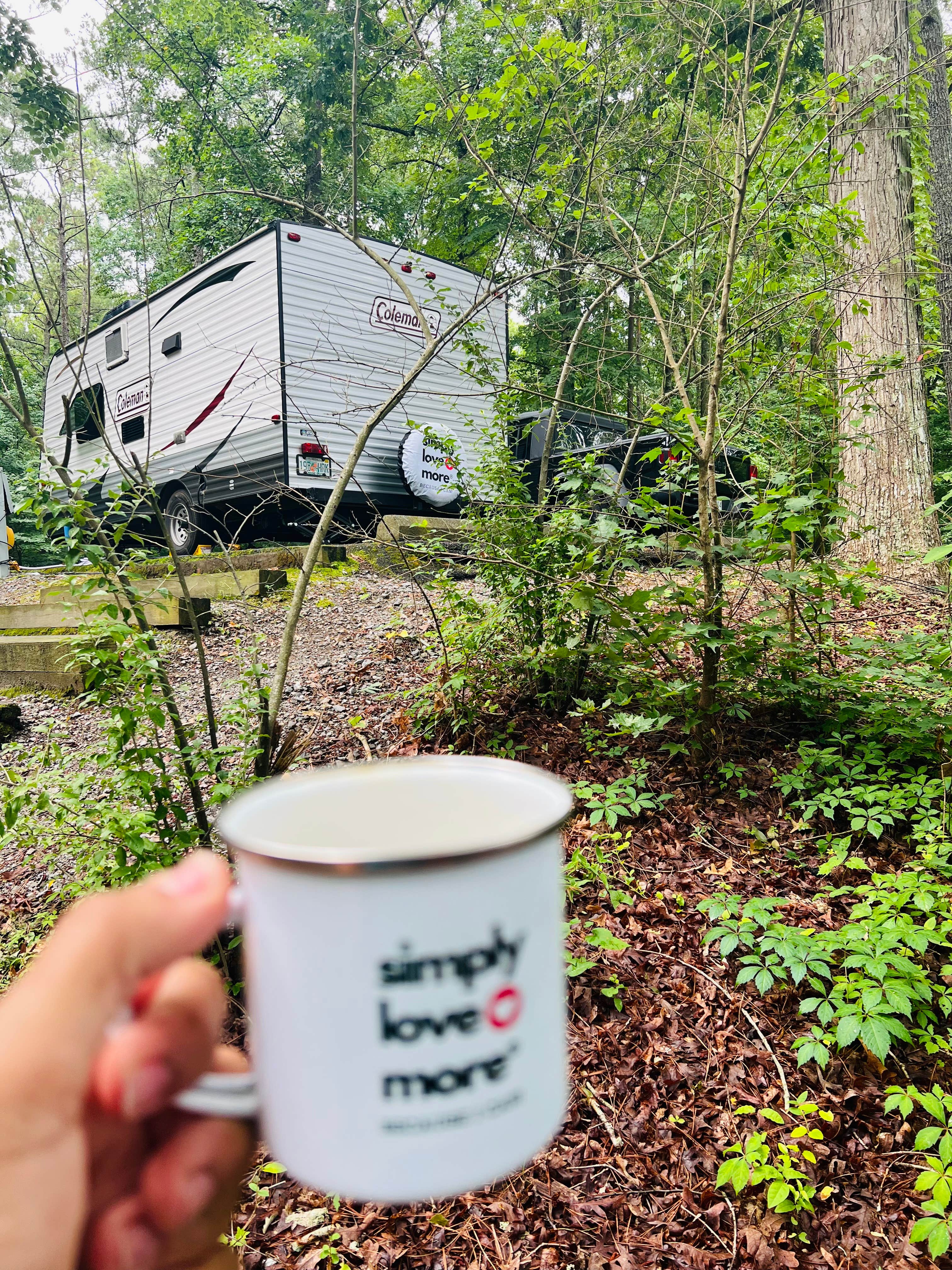 Camper-submitted photo at COE Allatoona Lake Old Highway 41 No 3 Campground near Kennesaw, GA