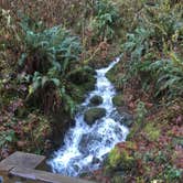 Review photo of Silver Falls State Park Campground by Kelly N., July 17, 2018