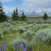 Review photo of Jenny Lake Campground — Grand Teton National Park by LoneCamper C., June 30, 2022