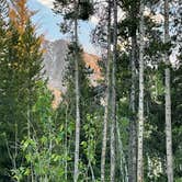 Review photo of Jenny Lake Campground — Grand Teton National Park by LoneCamper C., June 30, 2022