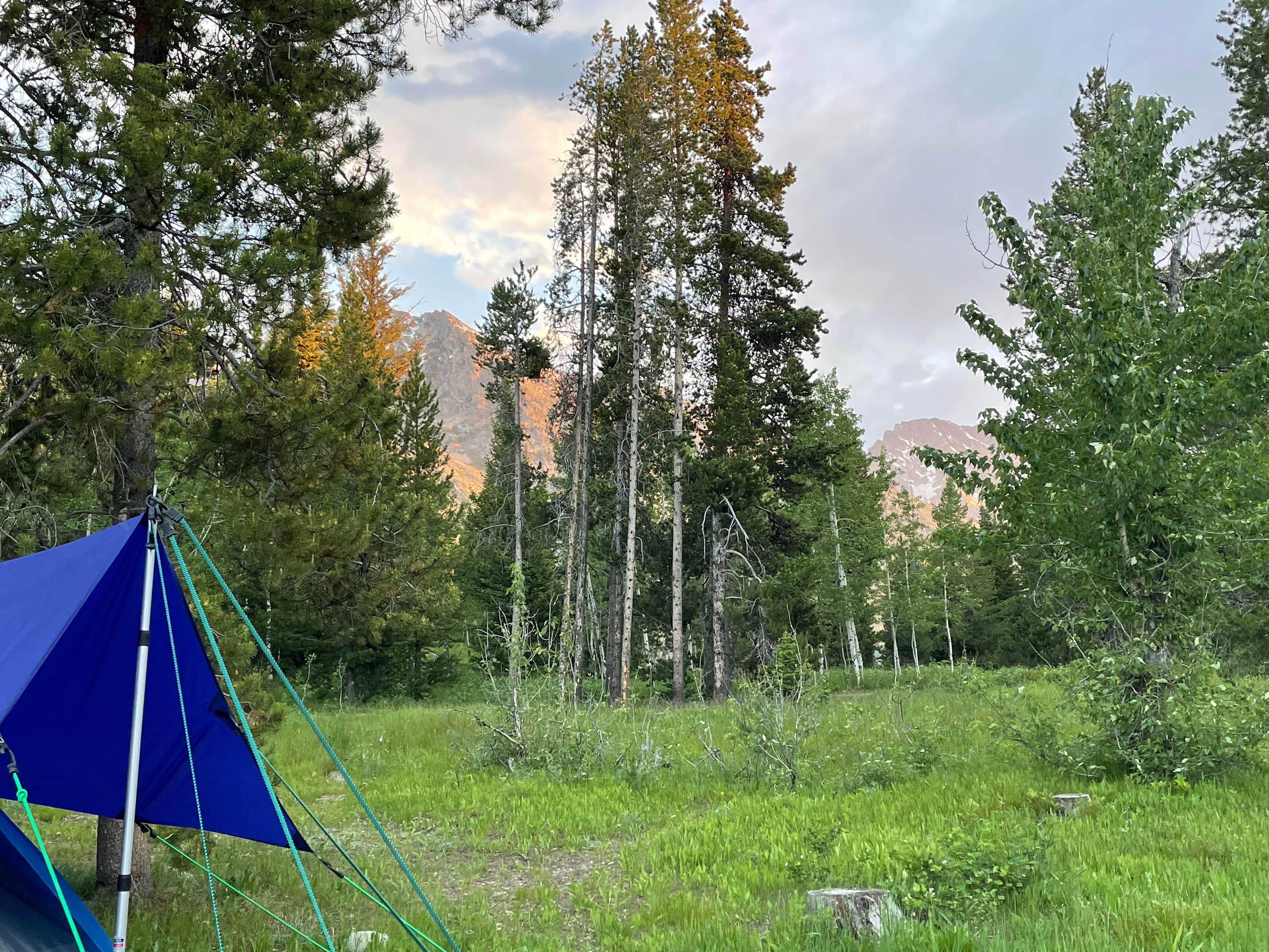 LoneCamper C.'s photo of tent camping at Jenny Lake Campground — Grand Teton National Park near Tetonia, ID