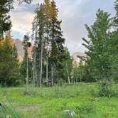 Review photo of Jenny Lake Campground — Grand Teton National Park by LoneCamper C., June 30, 2022