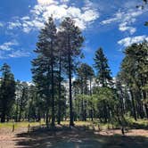 Review photo of Bear Canyon Lake and Camping Area by Levi M., June 30, 2022