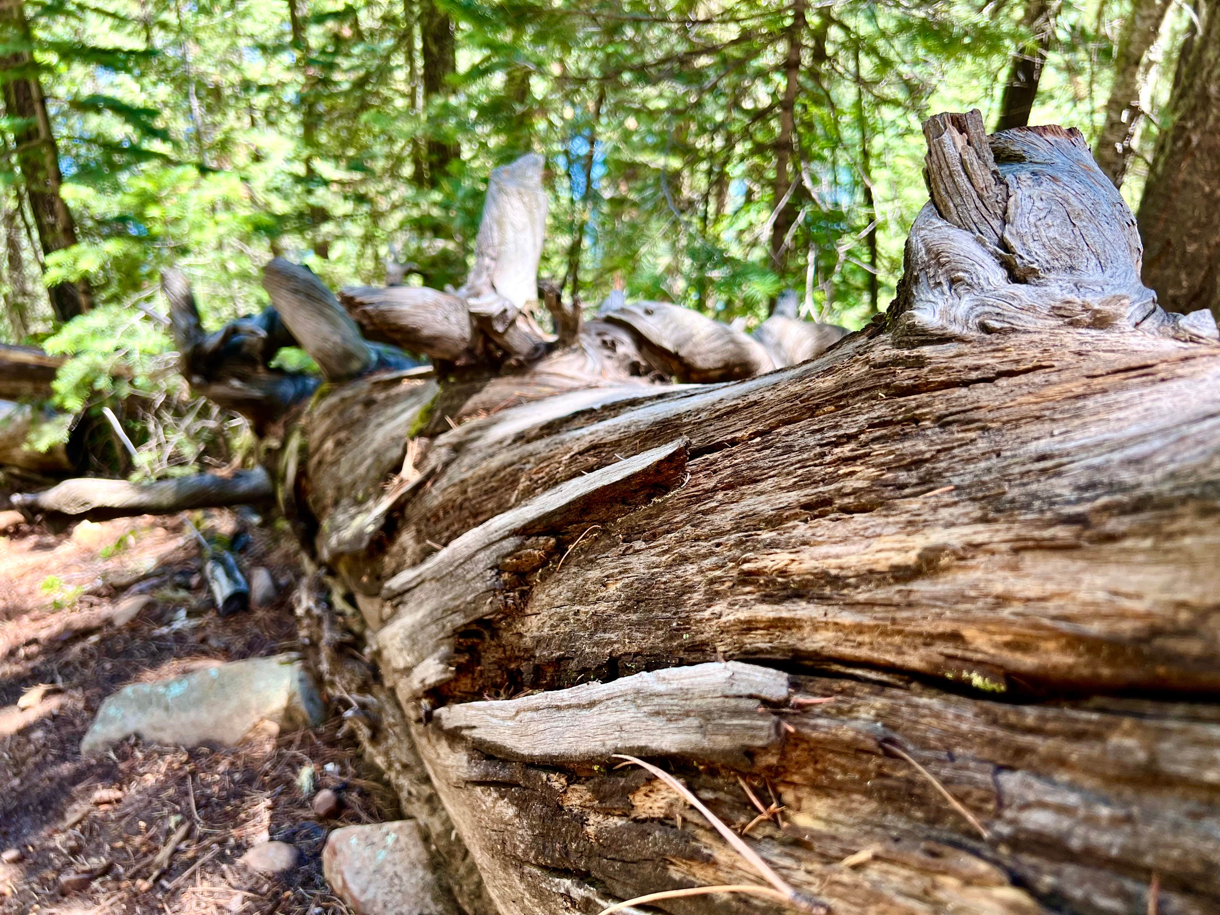 Bear Canyon Lake and Camping Area