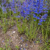 Review photo of Colter Bay Tent Village at Colter Bay Village — Grand Teton National Park by LoneCamper C., June 26, 2022