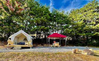 Bryan C.'s photo at Buck Rock Farm near Kingsport, TN