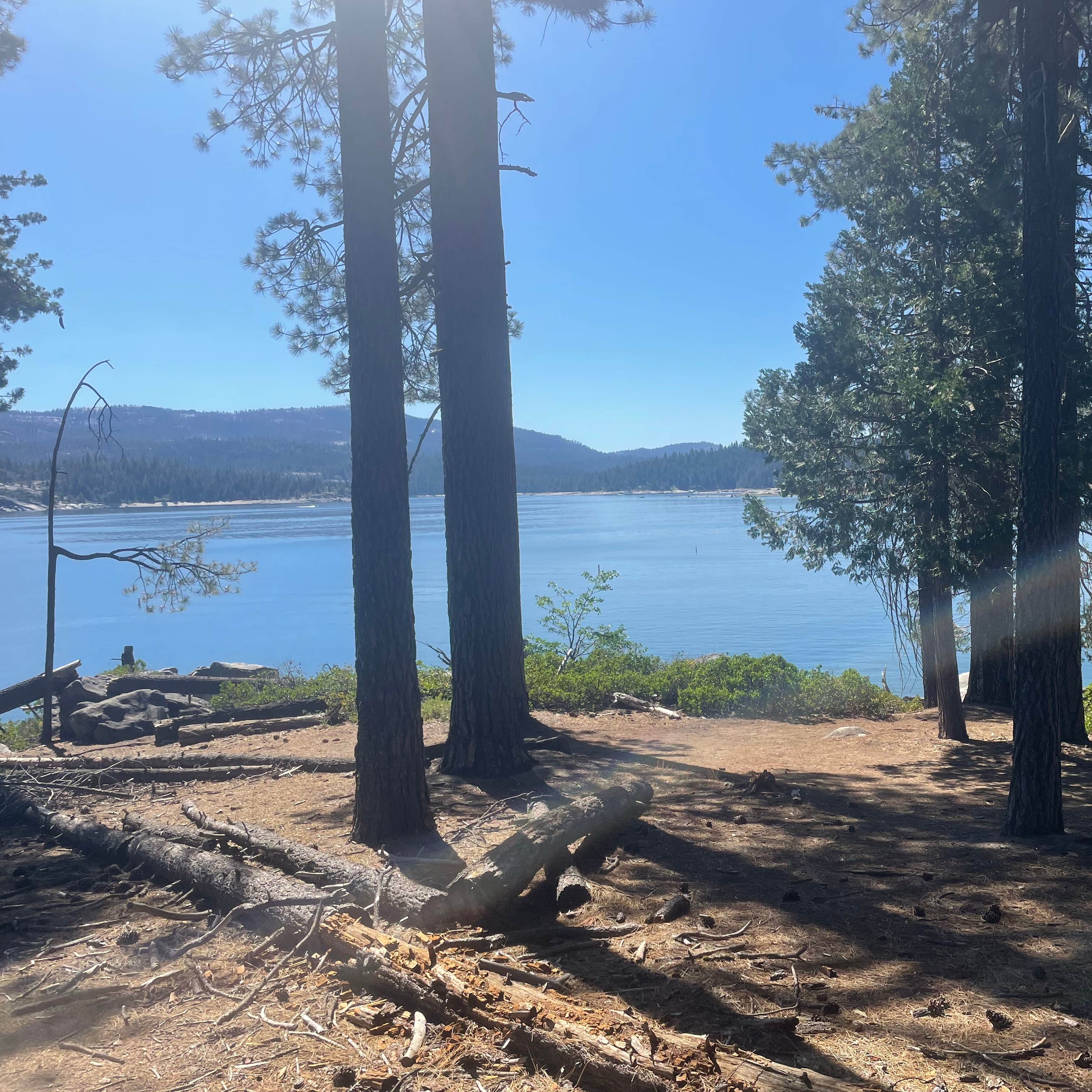 Camp Edison Camping The Dyrt