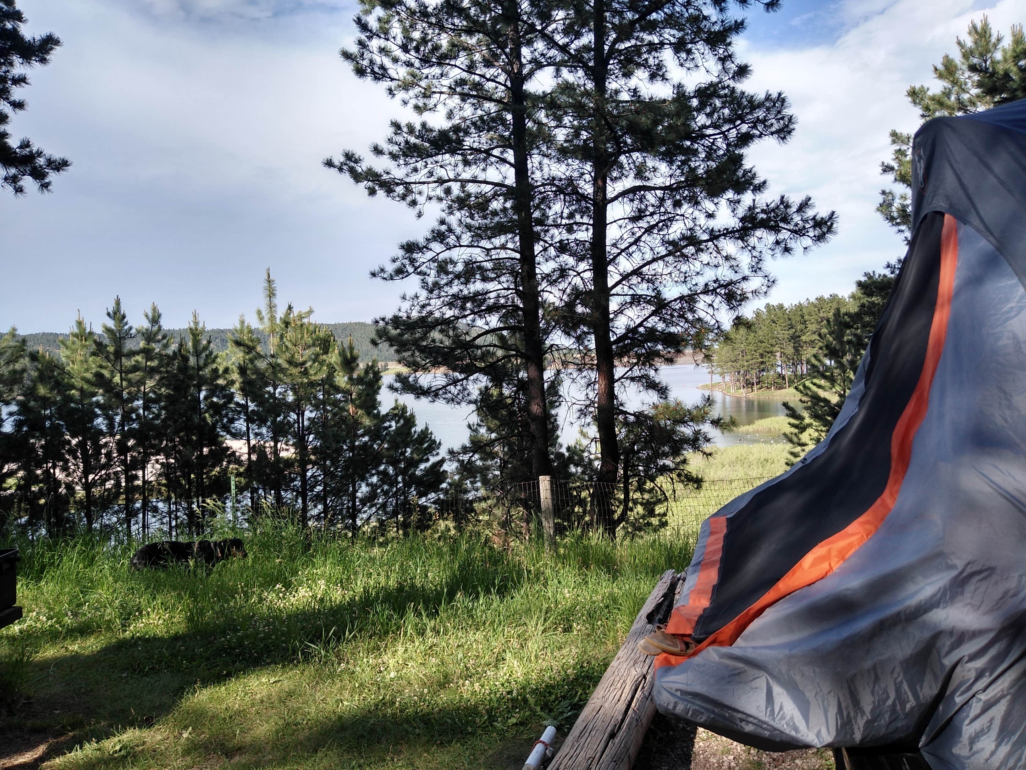 Leslie B.'s photo at Pactola Reservoir Campground near Nemo, SD