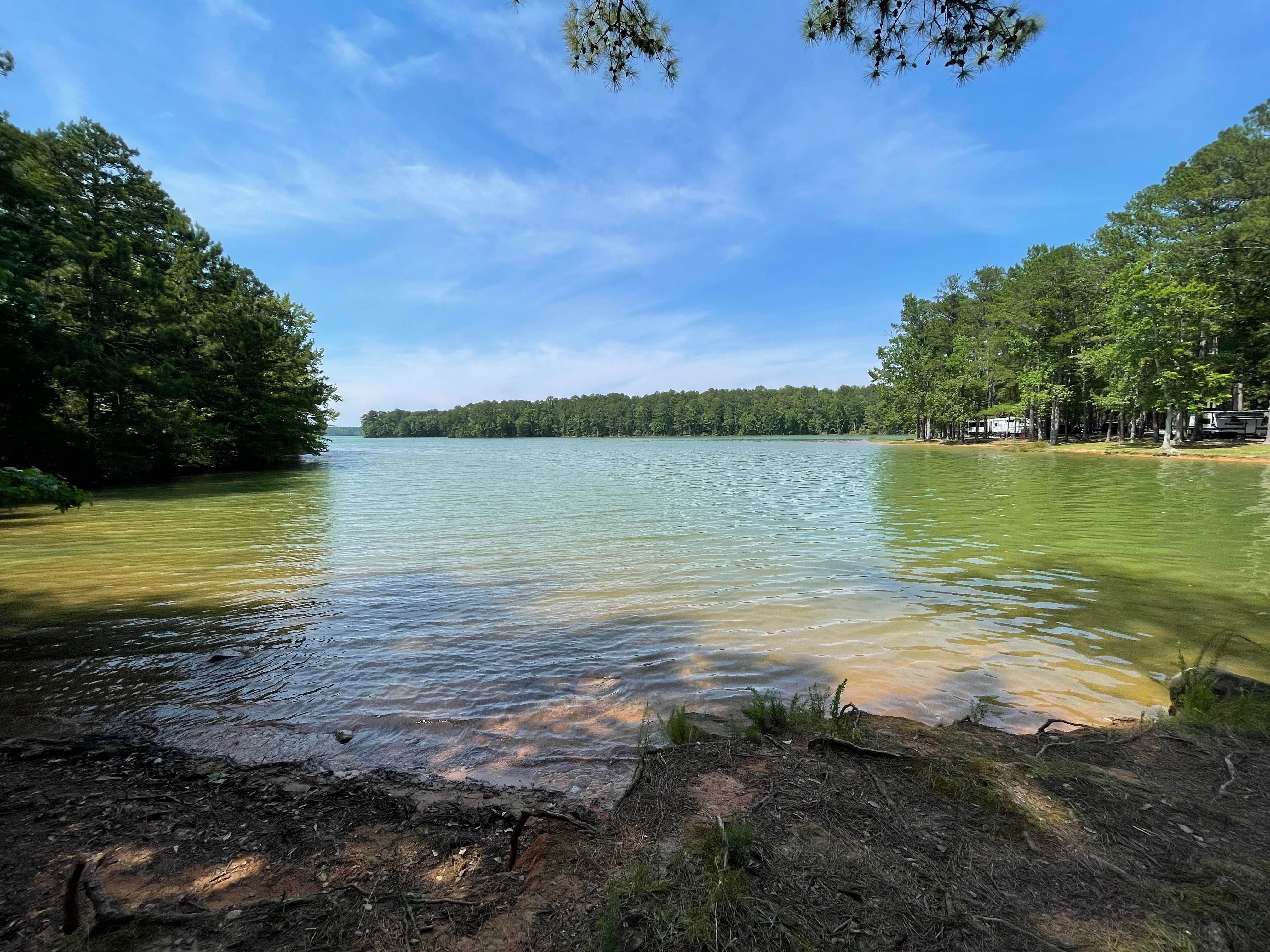 Camper submitted image from COE West Point Lake R Shaefer Heard Campground - 2