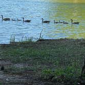 Review photo of COE West Point Lake R Shaefer Heard Campground by Lauren W., June 30, 2022