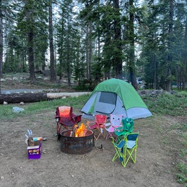 campsite 11