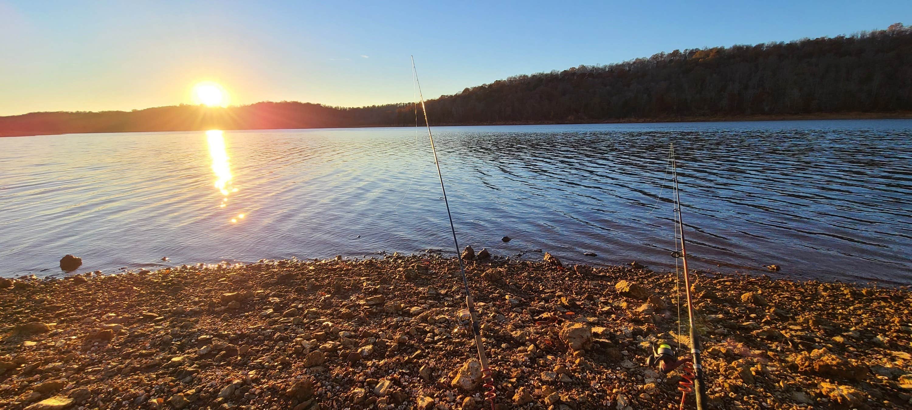 Camper-submitted photo at Anderson County Park near La Follette, TN