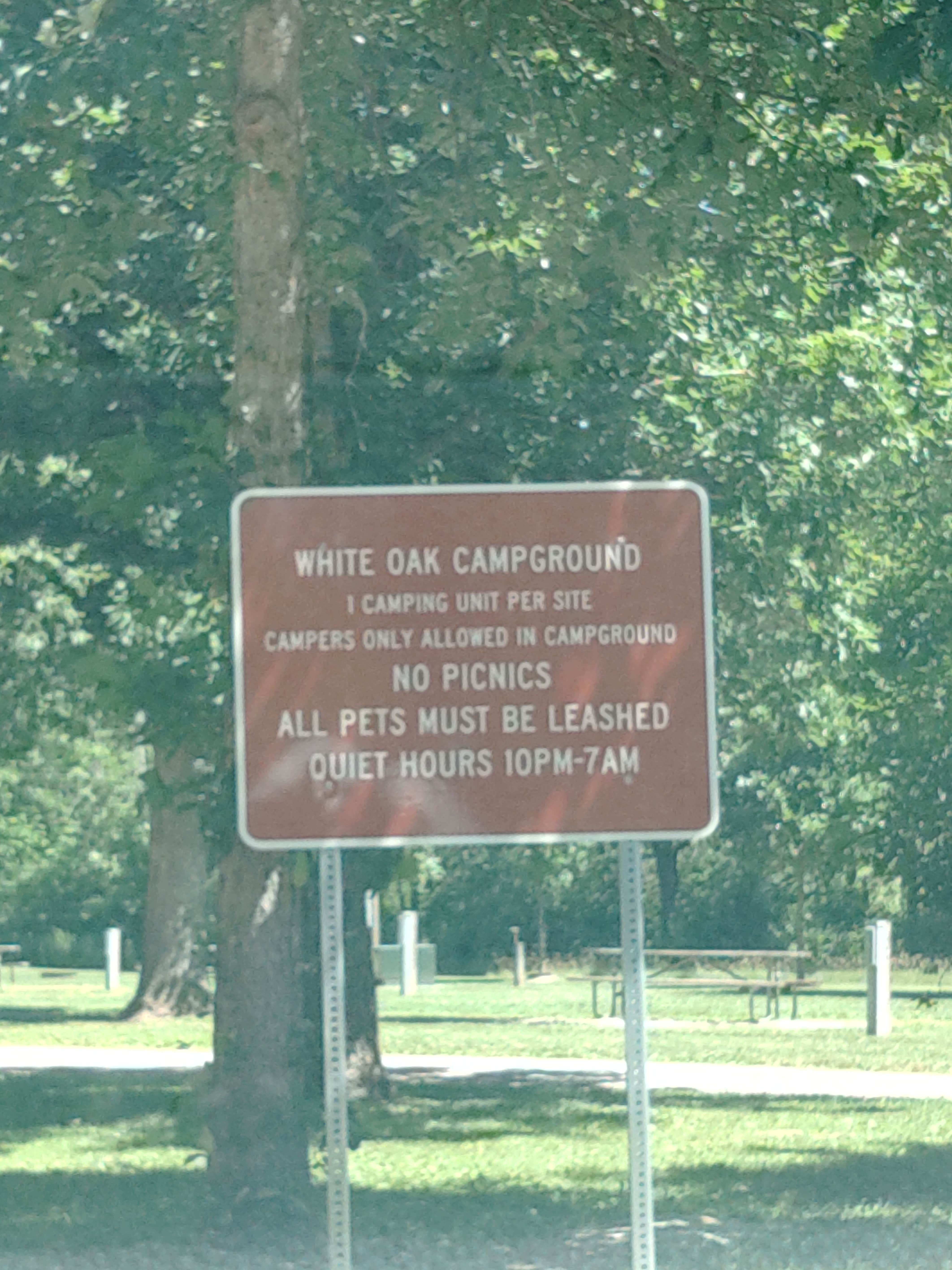 Camper submitted image from Loud Thunder Forest Preserve- White Oak Campground - 2