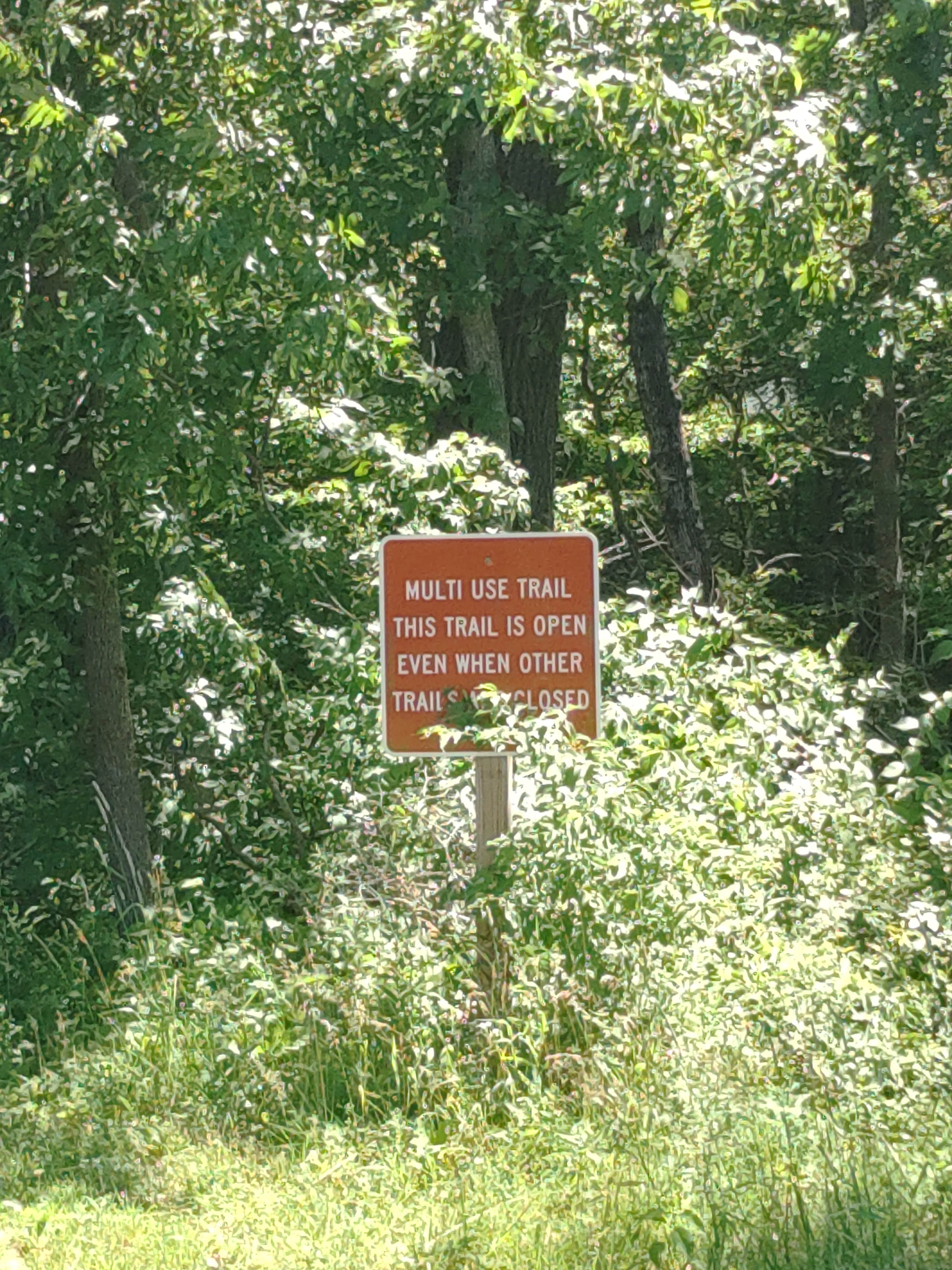 Camper-submitted photo at Loud Thunder Forest Preserve- White Oak Campground near Illinois City, IL