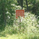 Review photo of Loud Thunder Forest Preserve- White Oak Campground by James M., June 30, 2022