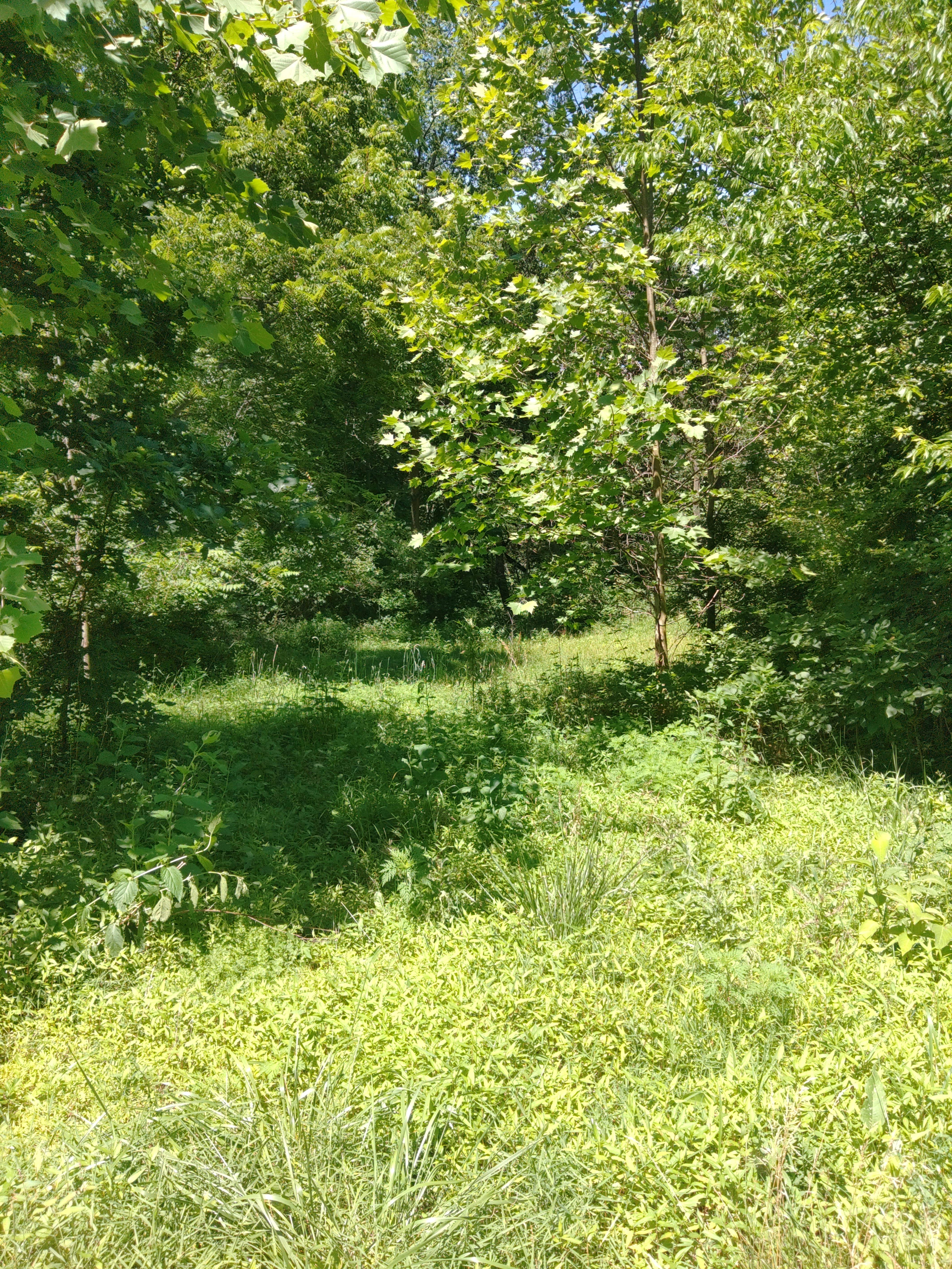 Camping near Camelot Campground Quad Cities USA: Silva Campground, Illinois City, Illinois