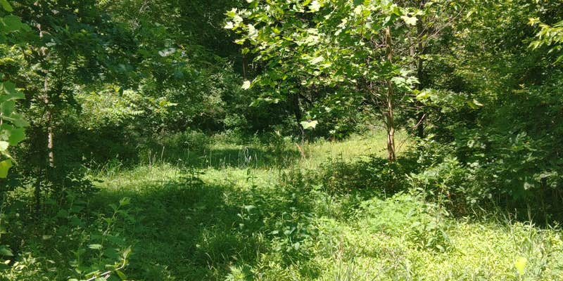 Camper submitted image from Silva Campground