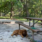 Review photo of Skidaway Island State Park Campground by mary F., June 30, 2022