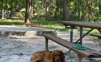 mary F.'s photo of camping with pets at Skidaway Island State Park Campground near Bluffton, SC