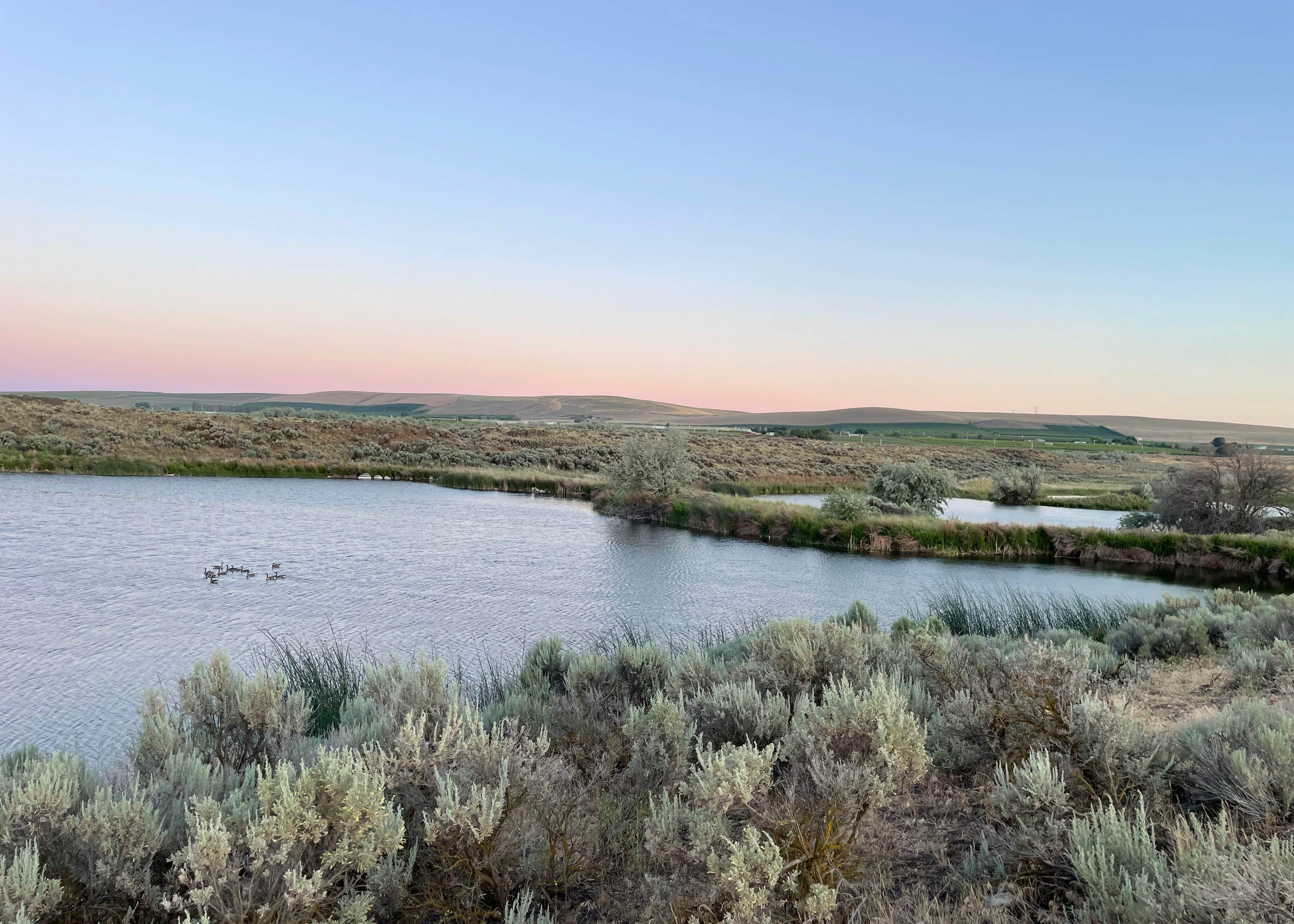Caliche Lake Camping The Dyrt