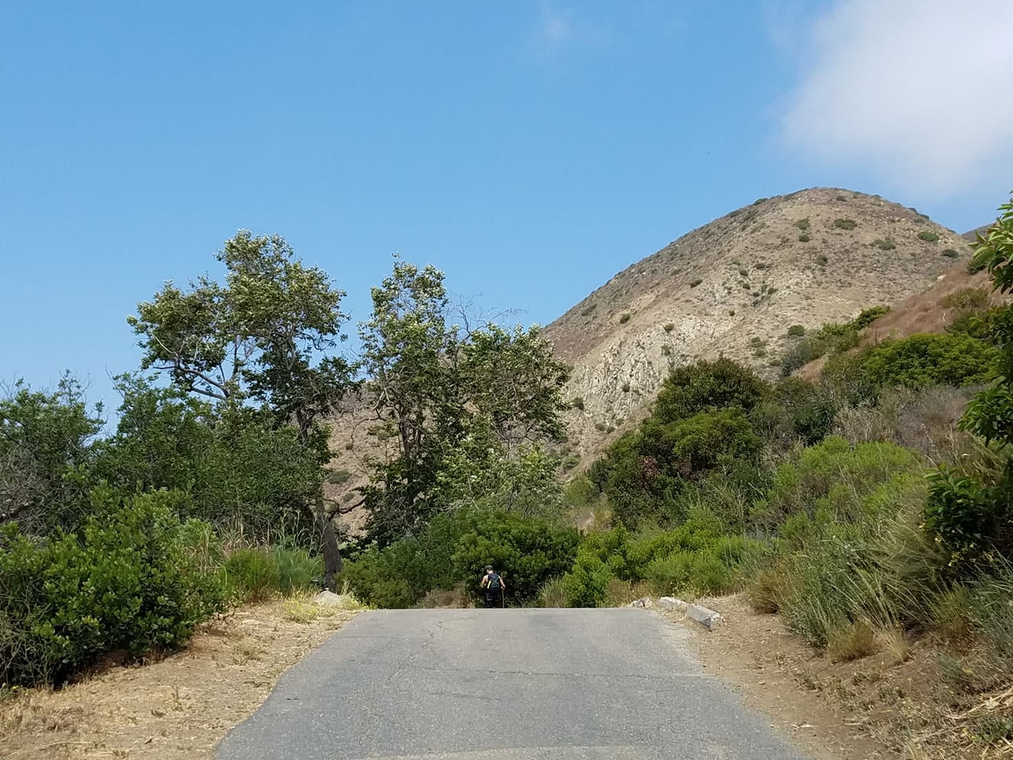 Camper submitted image from Sycamore Canyon Campground — Point Mugu State Park - 4