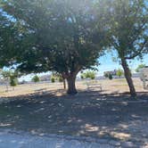 Review photo of Carlsbad RV Park & Campground by Amy & Stu B., June 30, 2022