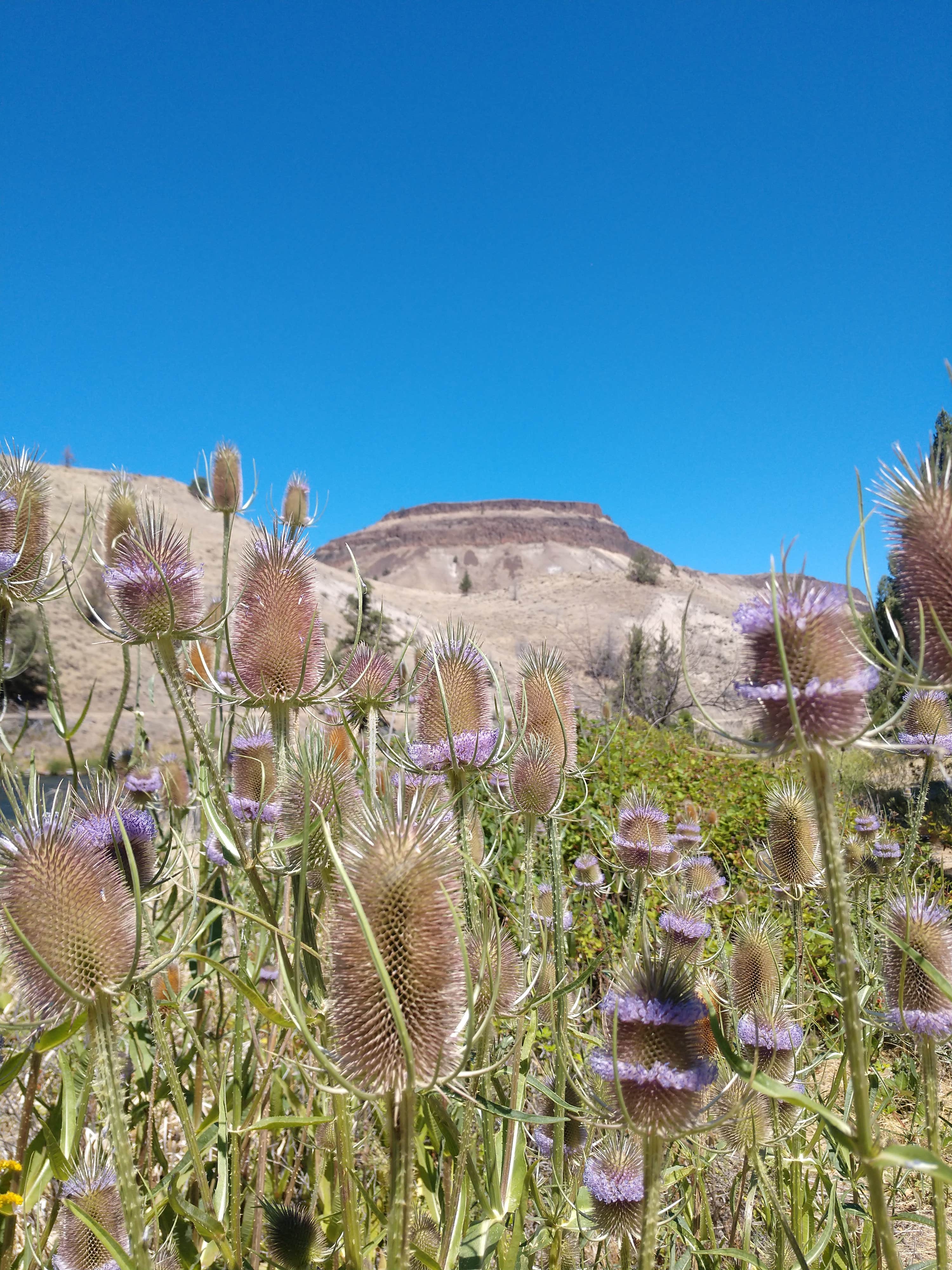 Trout Creek Madras Camping Prineville, OR