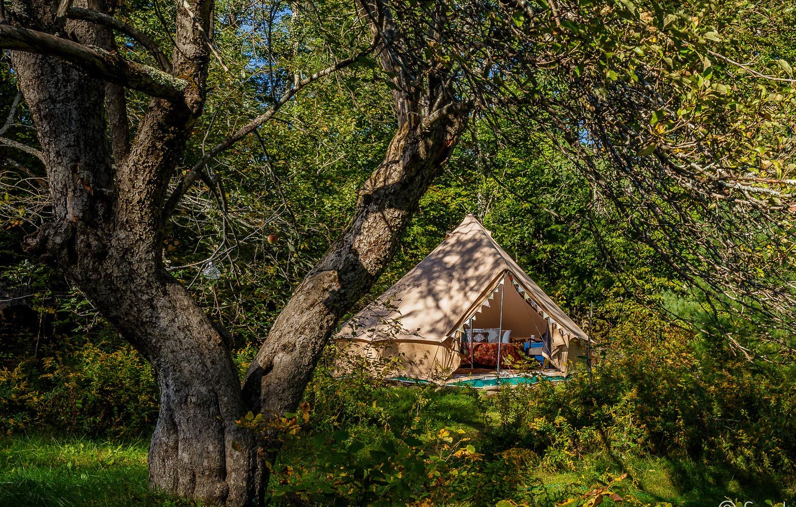 Camping near The Hawnets Nest: Cooley-Davies Homestead, Jackson, Maine