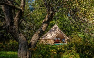 Lisa C.'s photo of glamping accommodations at Cooley-Davies Homestead near Unity, ME