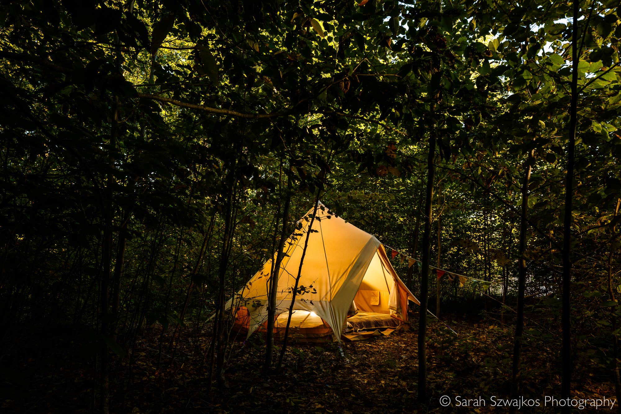 Camper submitted image from Cooley-Davies Homestead - 2