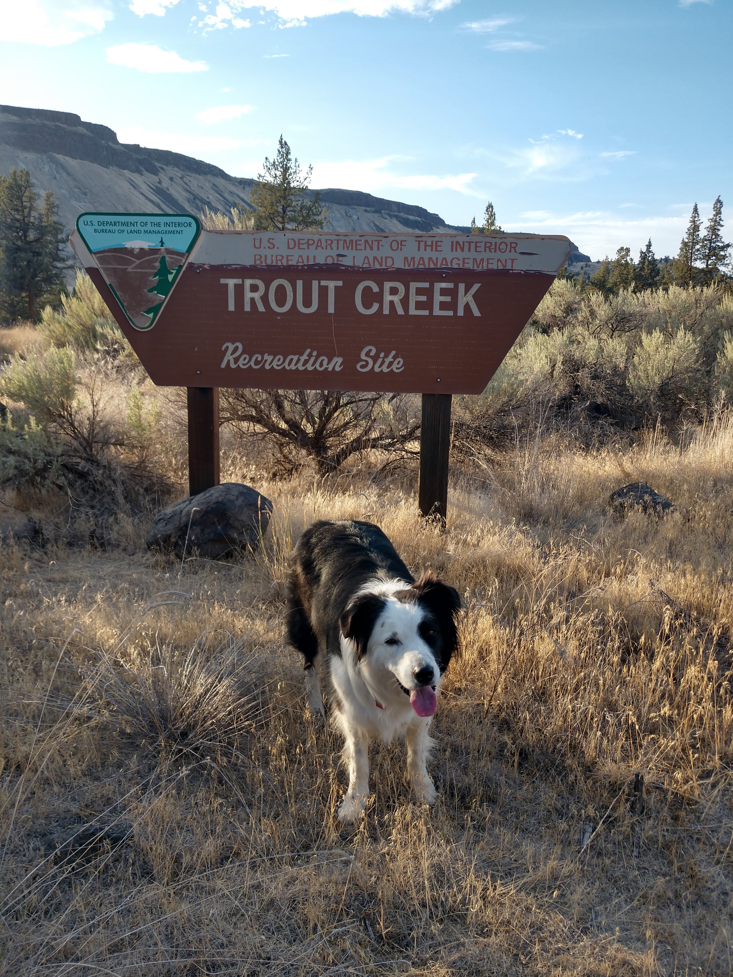 Camper submitted image from Trout Creek - Madras - 5