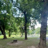 Review photo of Pequea Creek Campground  by Eva S., July 1, 2022