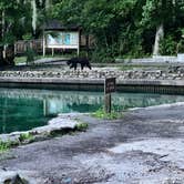 Review photo of Wekiwa Springs State Park Campground by Christine , July 1, 2022