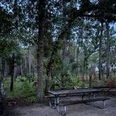 Review photo of Wekiwa Springs State Park Campground by Christine , July 1, 2022
