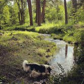 Review photo of The Holmestead - Dry Cabin by Carolyn H., July 1, 2022