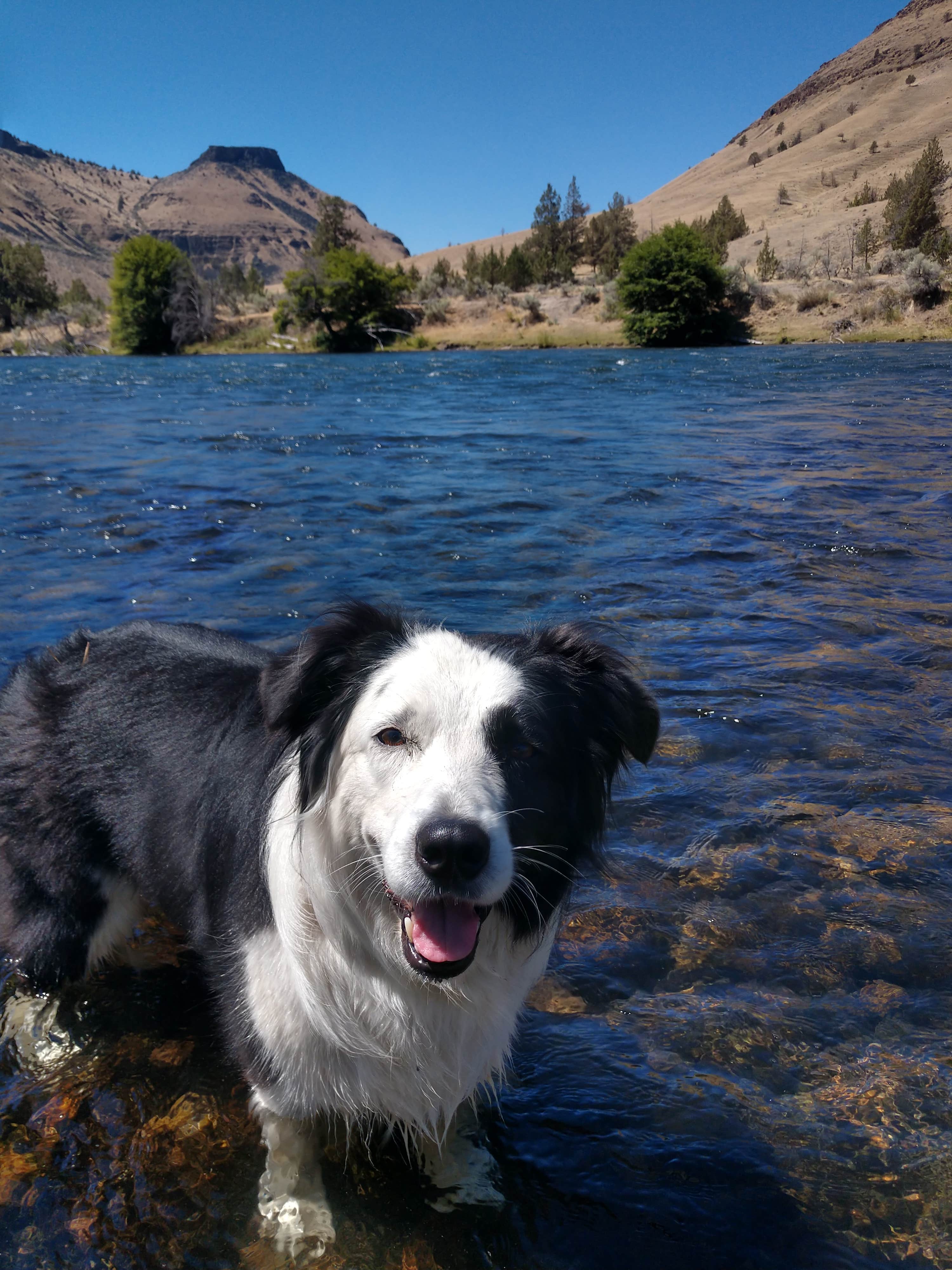 Trout Creek Madras Camping Prineville, OR