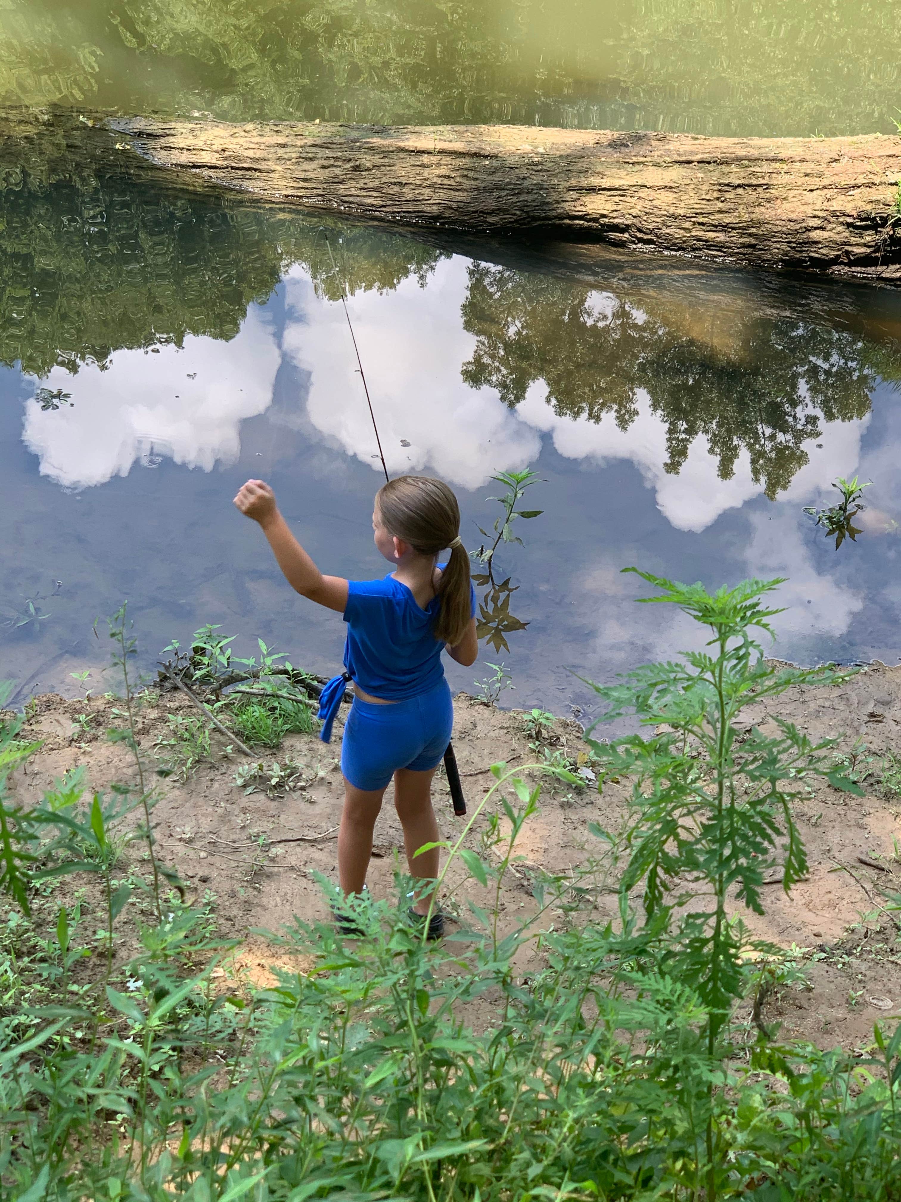Kentucky's Hidden Gem: Unwind at The Tailwater (Barren River Lake)