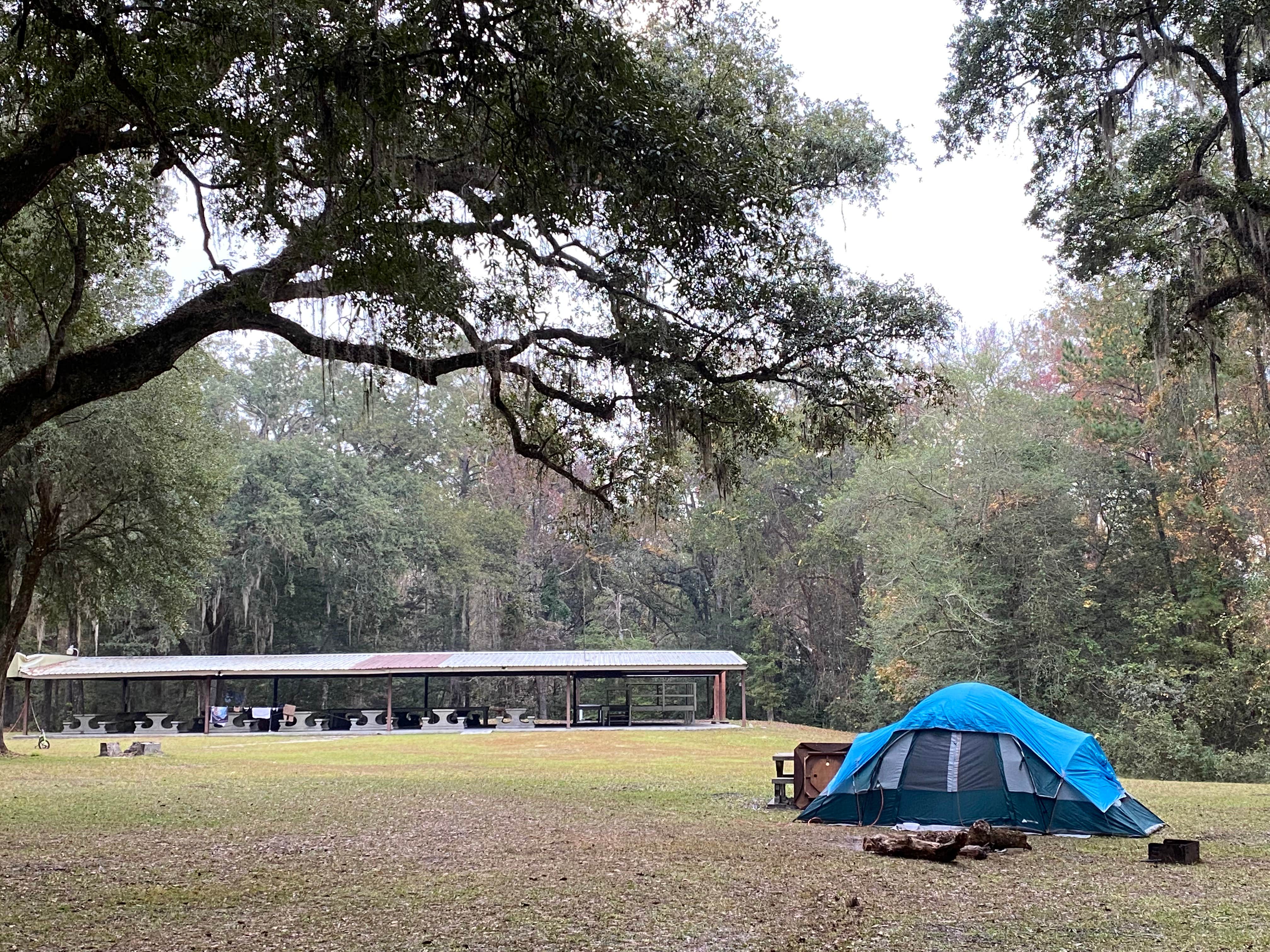 Camper submitted image from Charlton County Traders Hill Recreation Area and Campground - 4