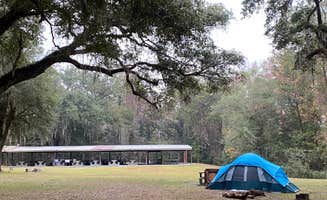 Stuart K.'s photo at Charlton County Traders Hill Recreation Area and Campground near Waycross, GA