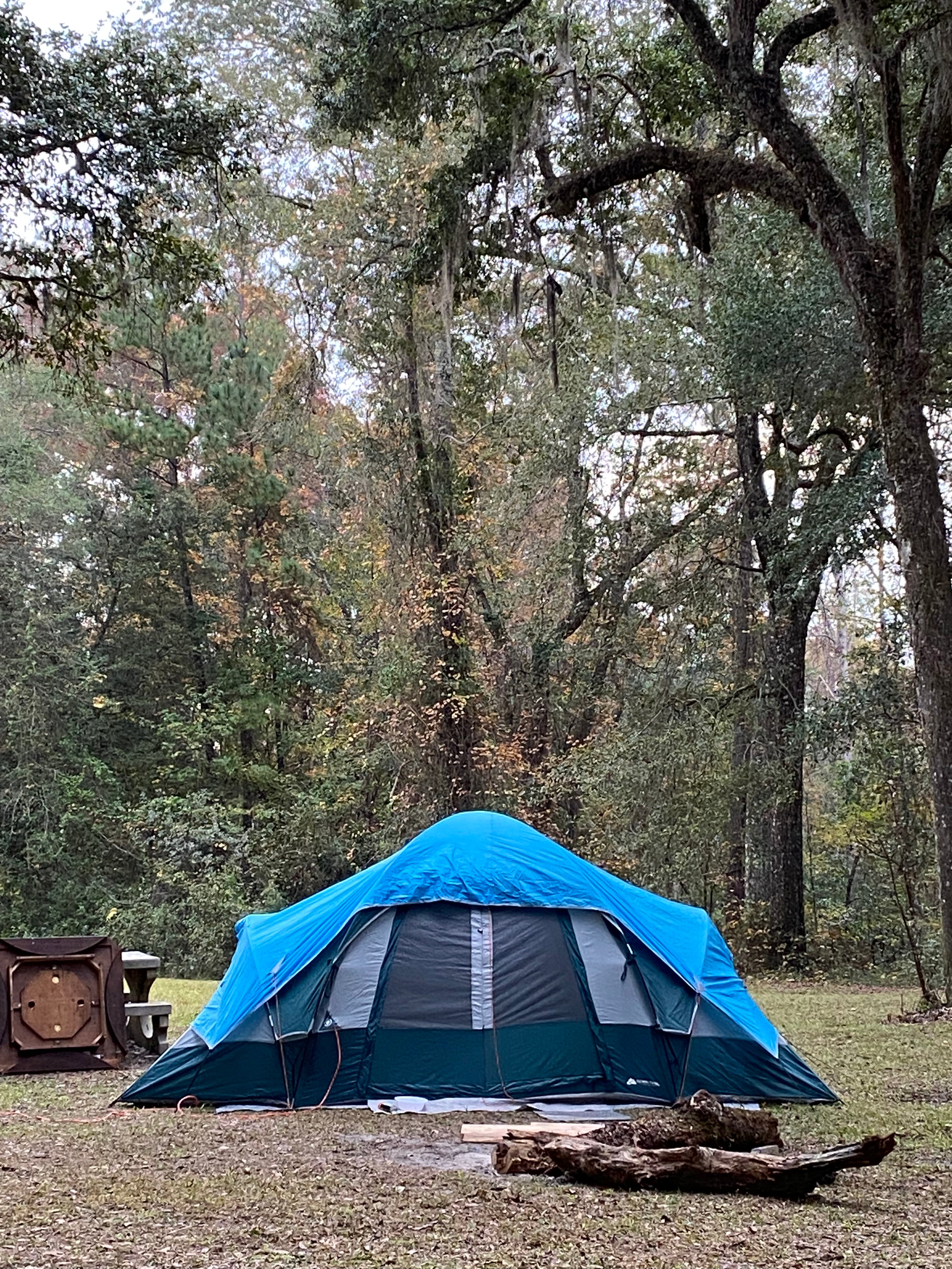 Camper submitted image from Charlton County Traders Hill Recreation Area and Campground - 1