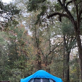 Our encampment in full splendor!
