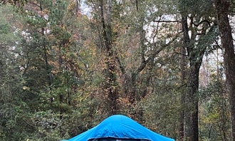 Camping near Okefenokee RV Park: Charlton County Traders Hill Recreation Area and Campground, Folkston, Georgia