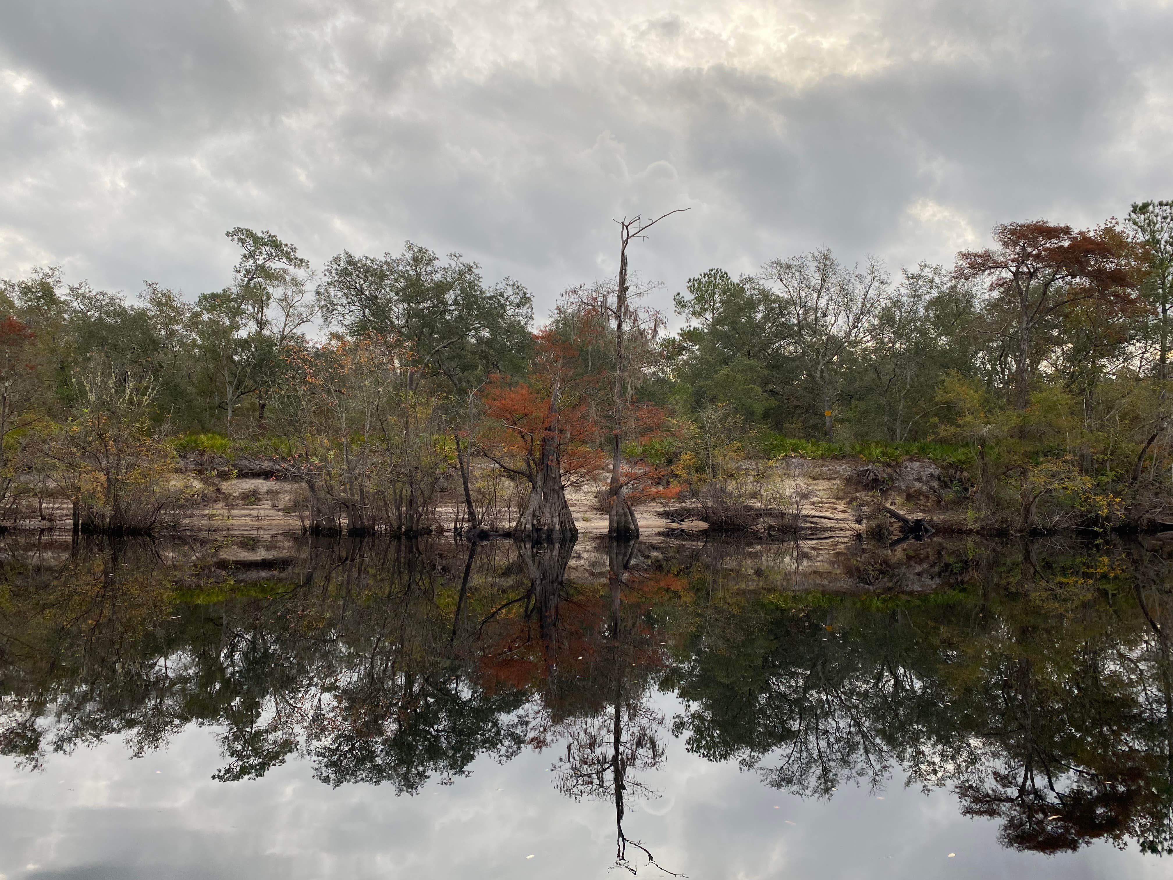 Camper submitted image from Charlton County Traders Hill Recreation Area and Campground - 5