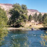 Review photo of Trout Creek Campground Boat Ramp by Lisa K., July 17, 2018