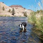 Review photo of Trout Creek Campground Boat Ramp by Lisa K., July 17, 2018