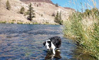 Lisa K.'s photo of camping with pets at Trout Creek Campground Boat Ramp near Madras, OR